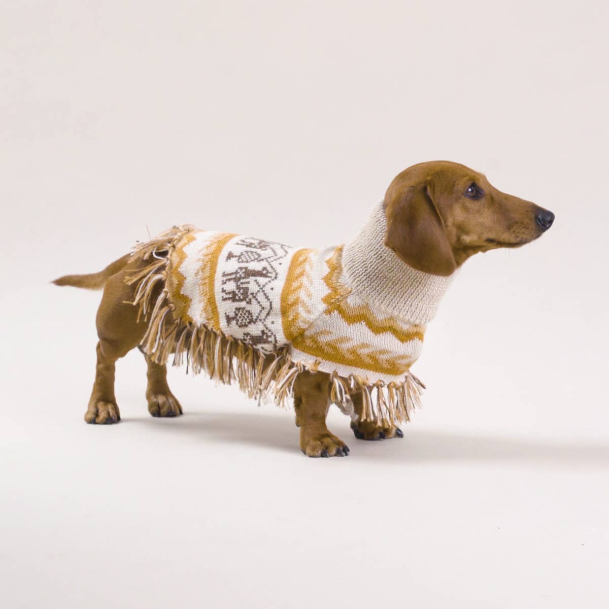 Llama Natural Alpaca Dog Poncho