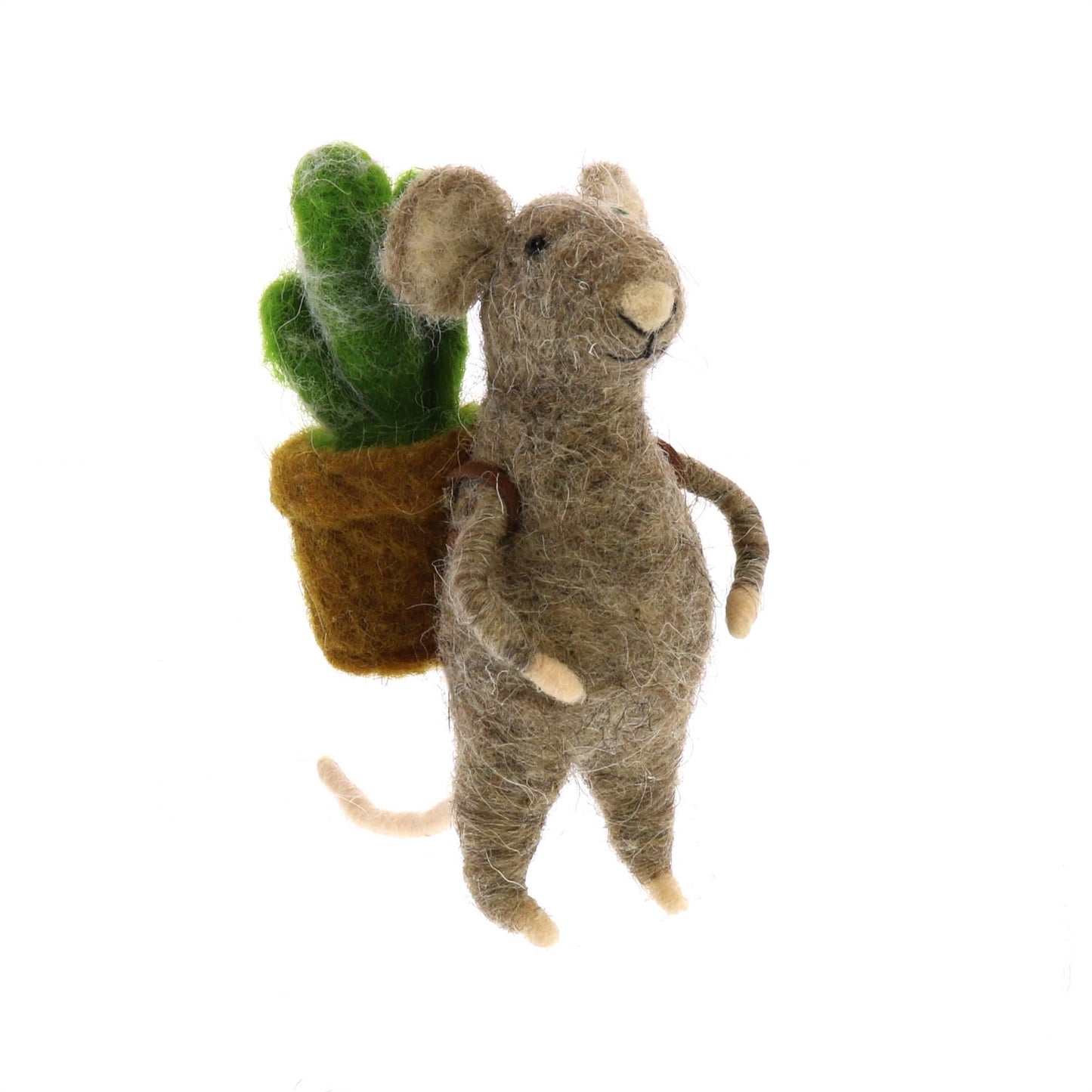 Mouse with Succulents