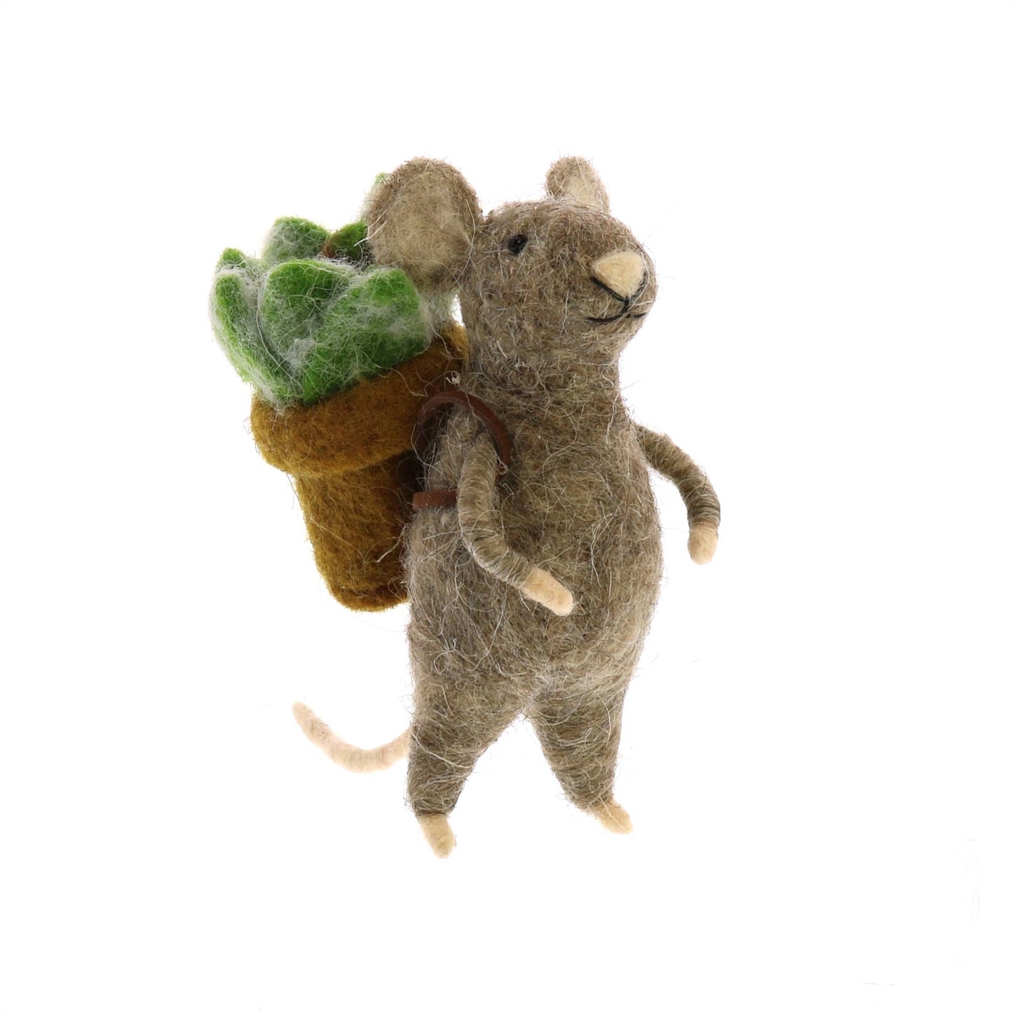 Mouse with Succulents