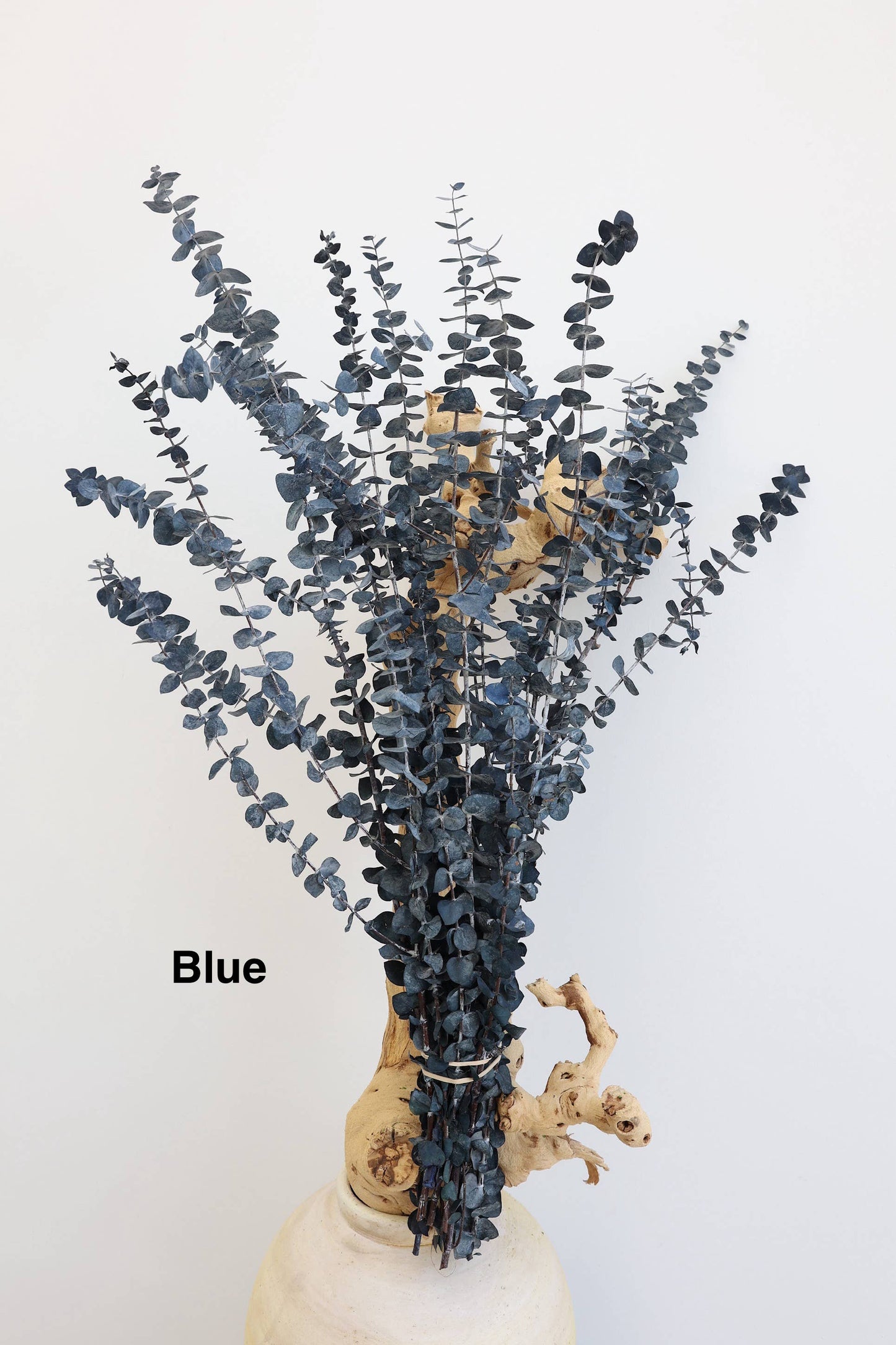 Preserved Eucalyptus
