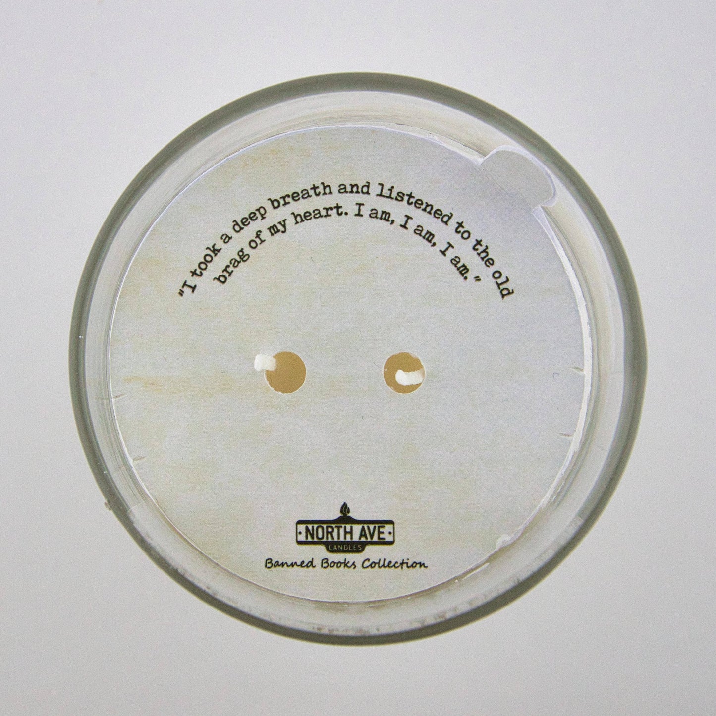 Banned Book Candle / The Bell Jar / Feminist Gift / bookish