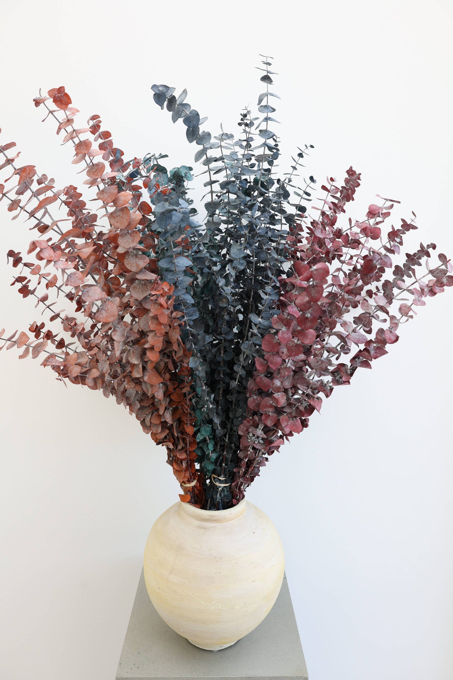 Preserved Eucalyptus