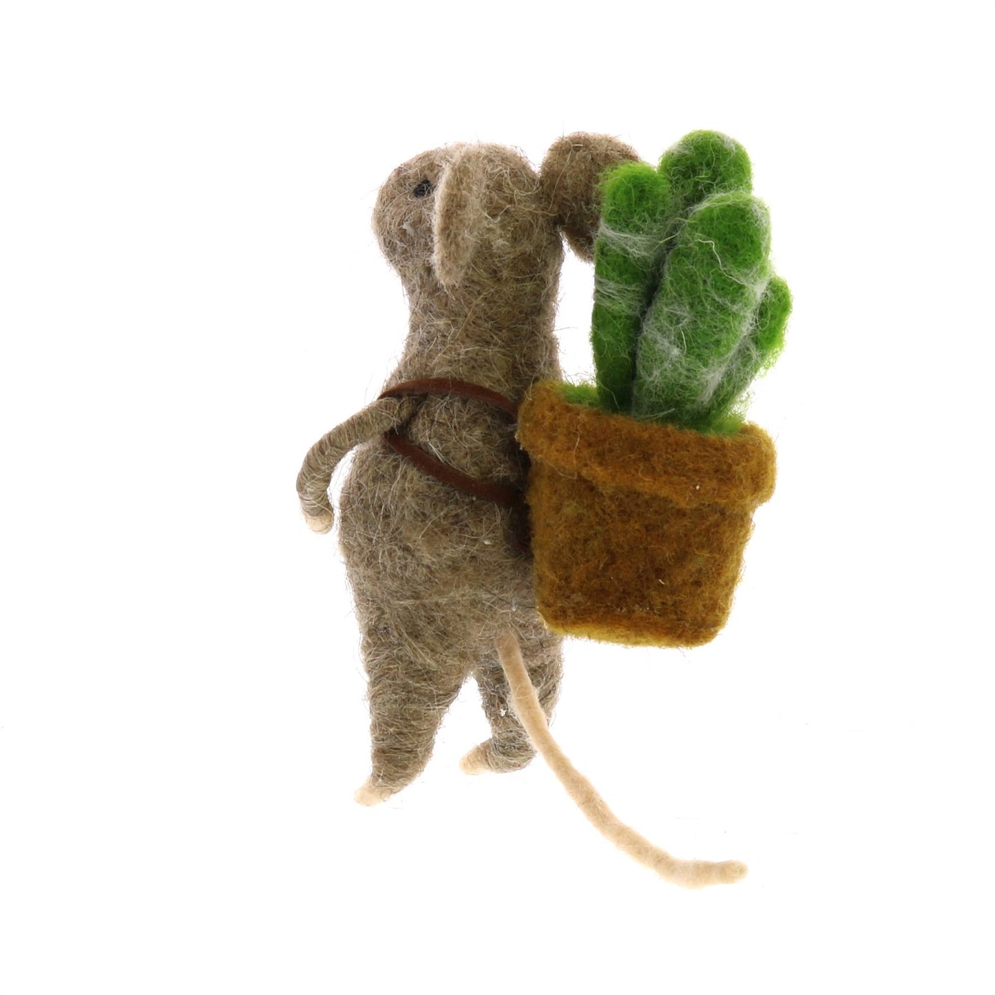 Mouse with Succulents