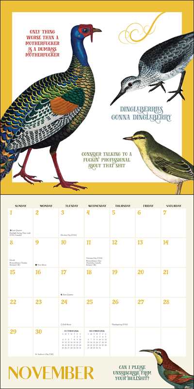 Effin' Birds 2026 Wall Calendar by Aaron Reynolds