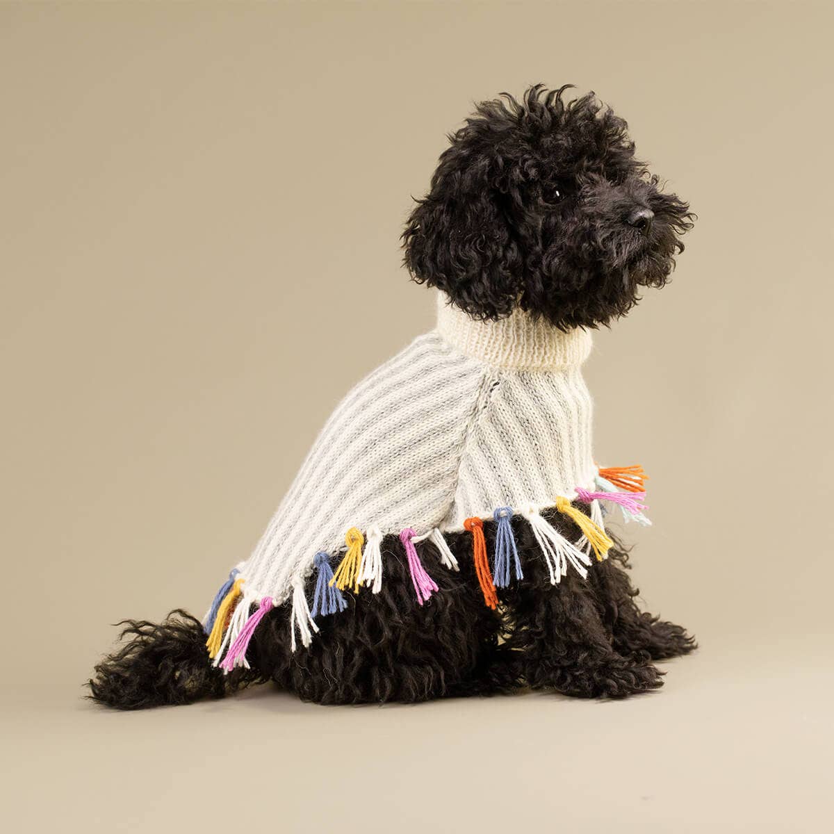 Rainbow Fringe