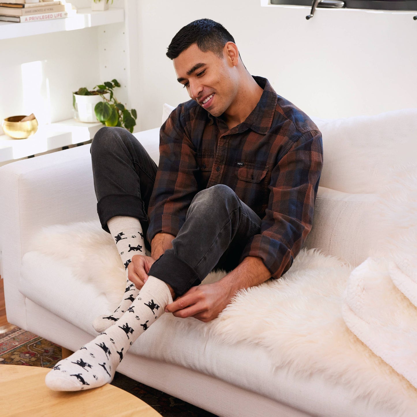 Boxed Set Socks that Save Cats