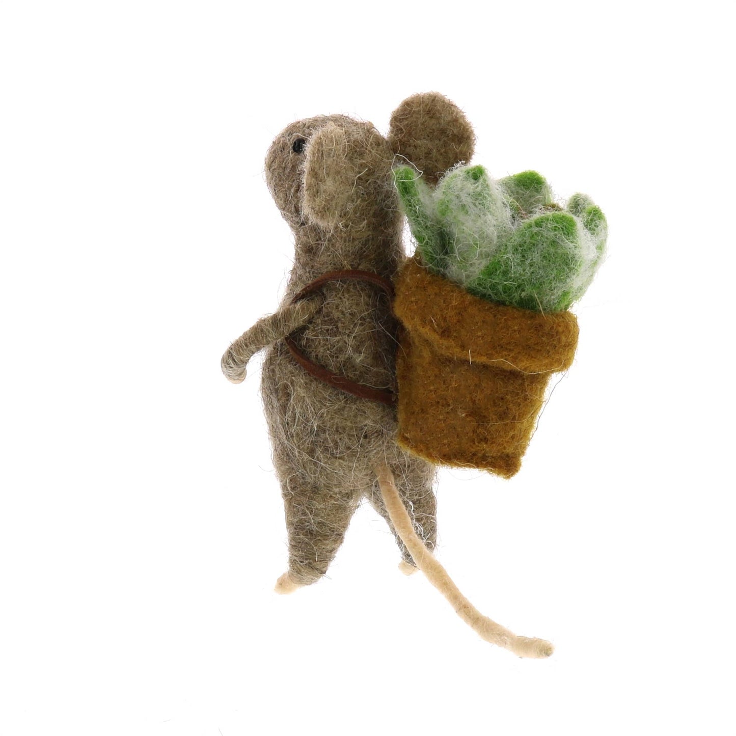 Mouse with Succulents