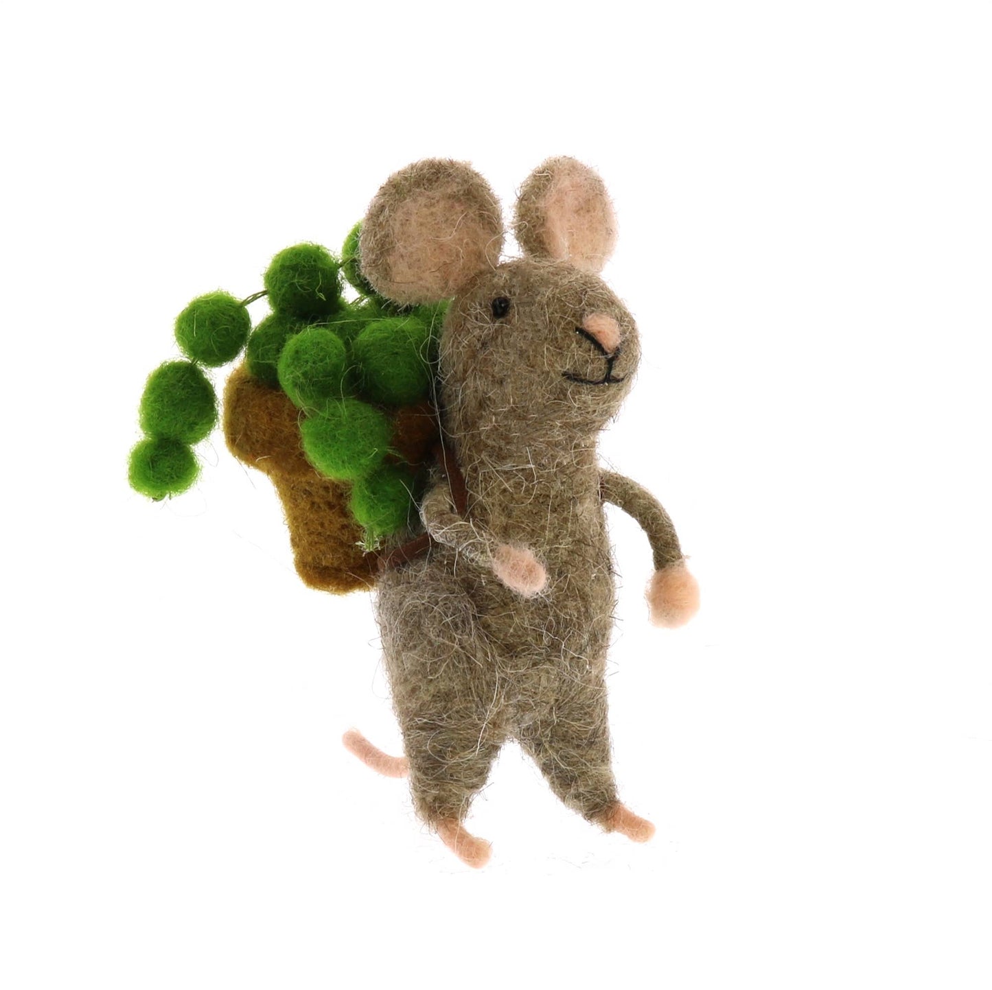 Mouse with Succulents