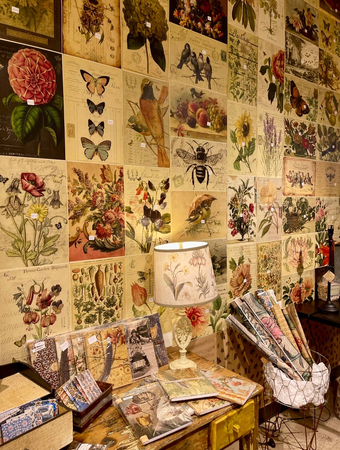 Assorted 11" x 17" 50 Piece Birds, Nests & Florals