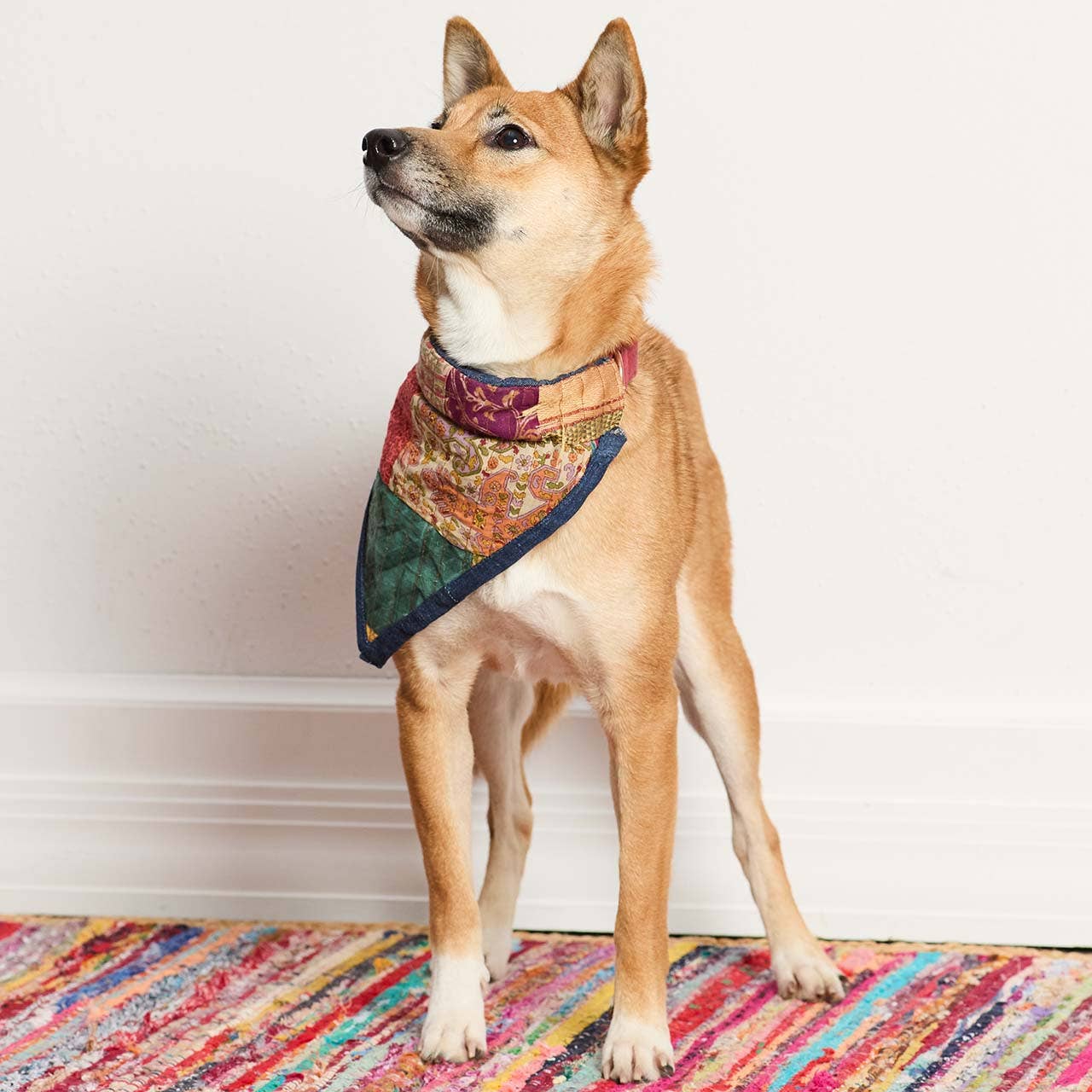 Small Upcycled Sari Pet Bandana