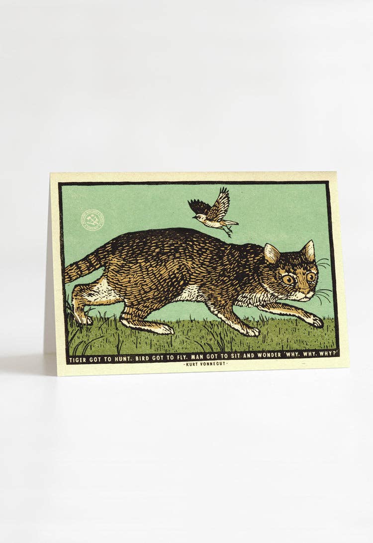 Sit and Wonder Greeting Card