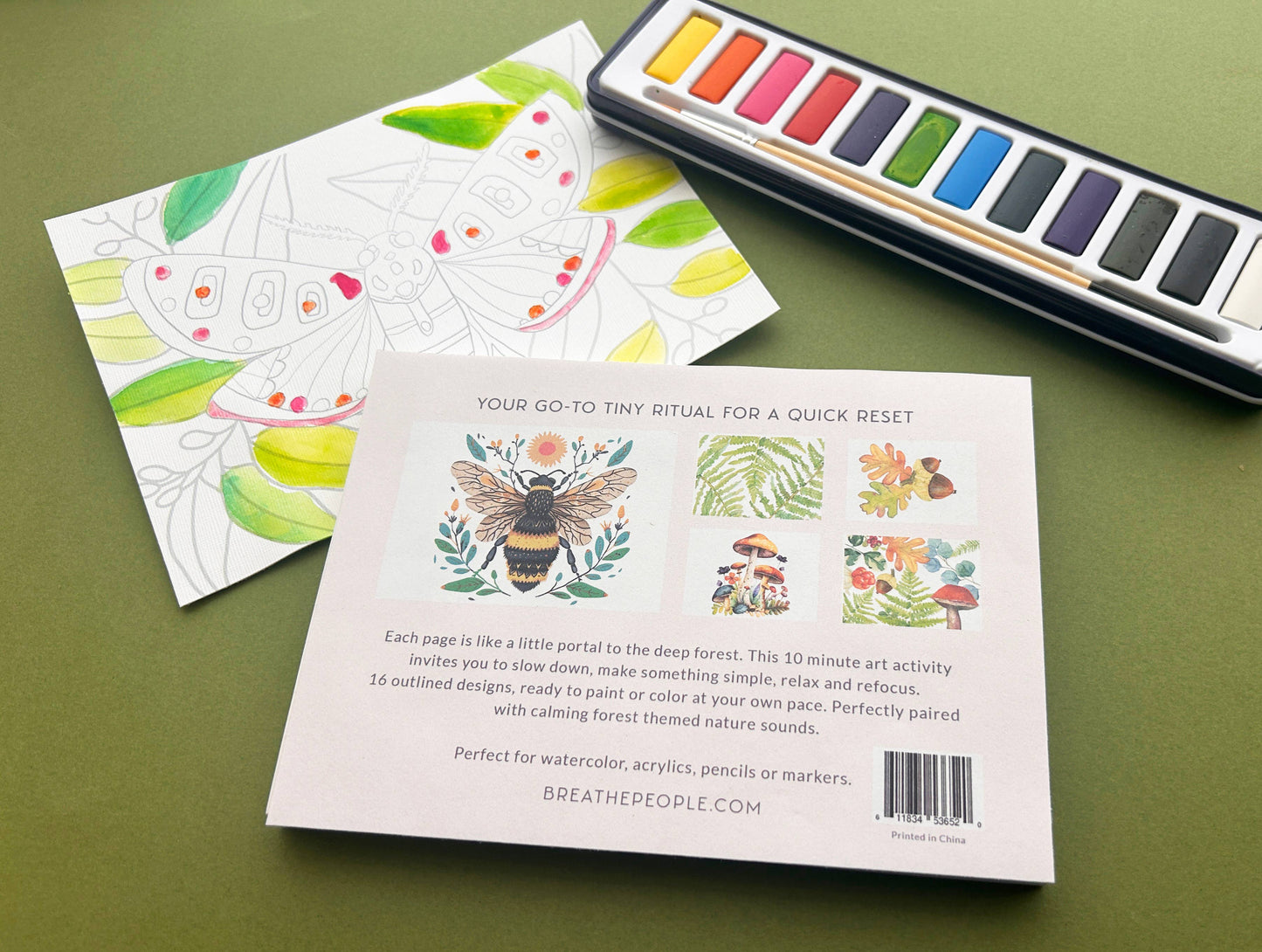 10 Minute Creative Escape Art Book — Forest Floor