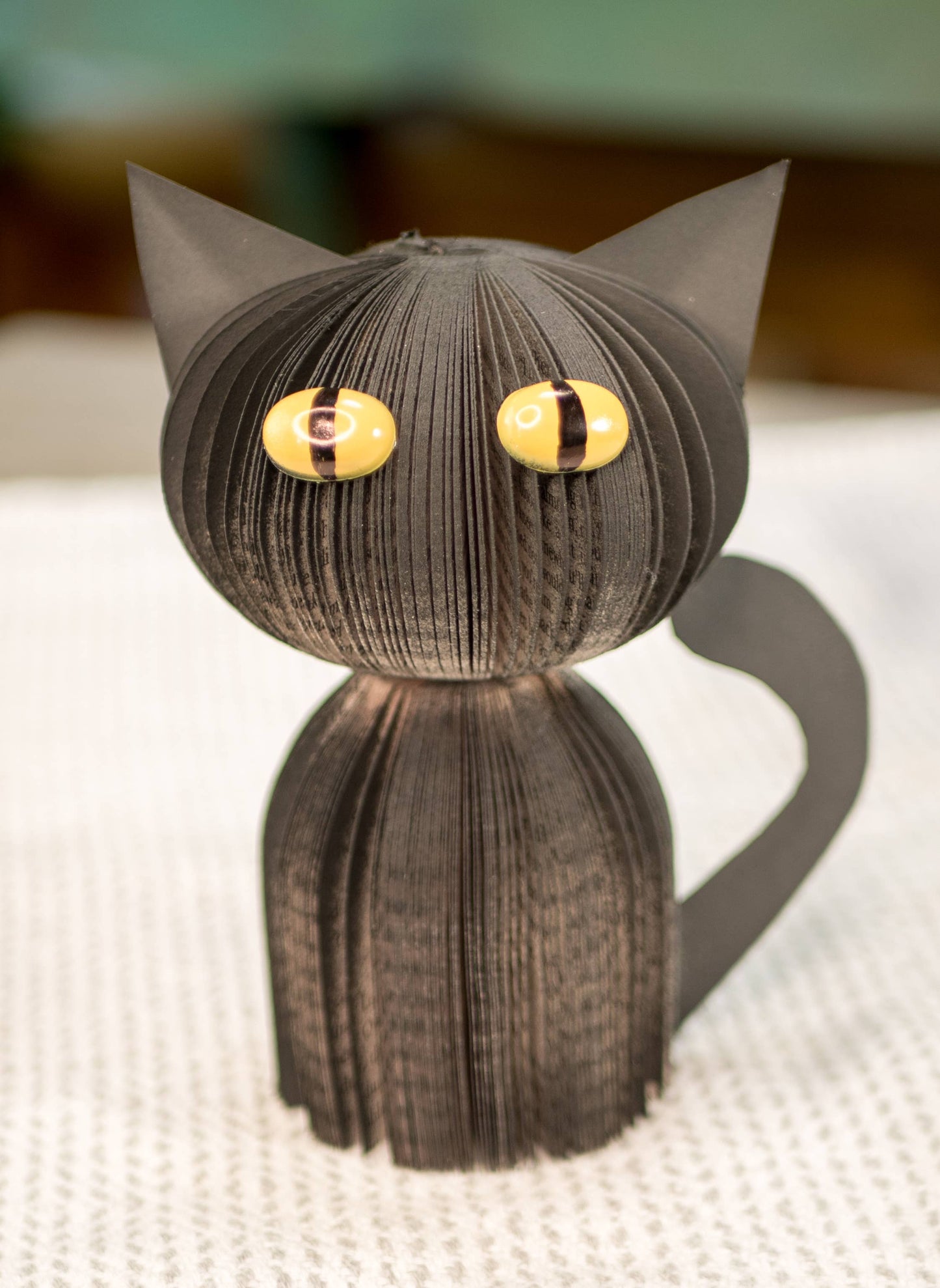 Black Cat-Halloween Decor-Book Gift-Christmas Gift