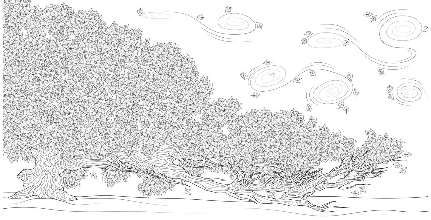 Splendor of Trees Coloring Book by
