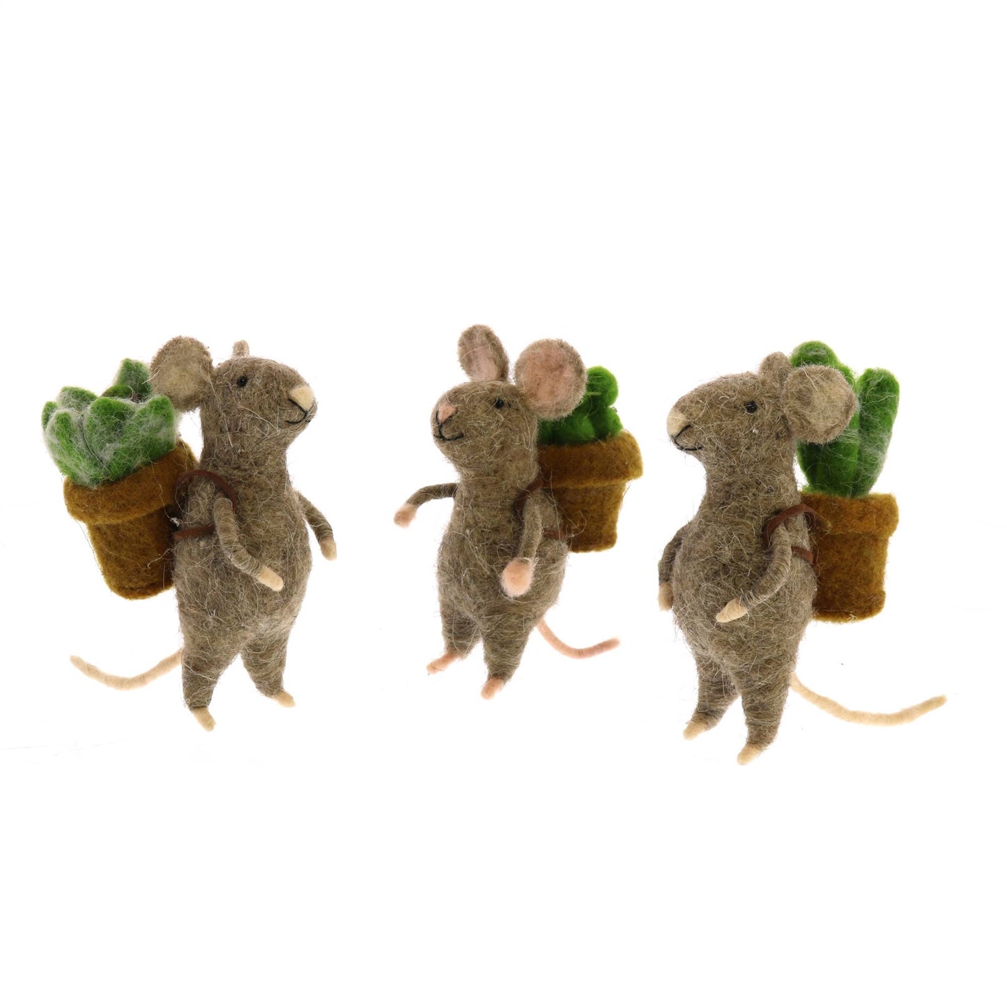 Mice with Succulents, Set of 3