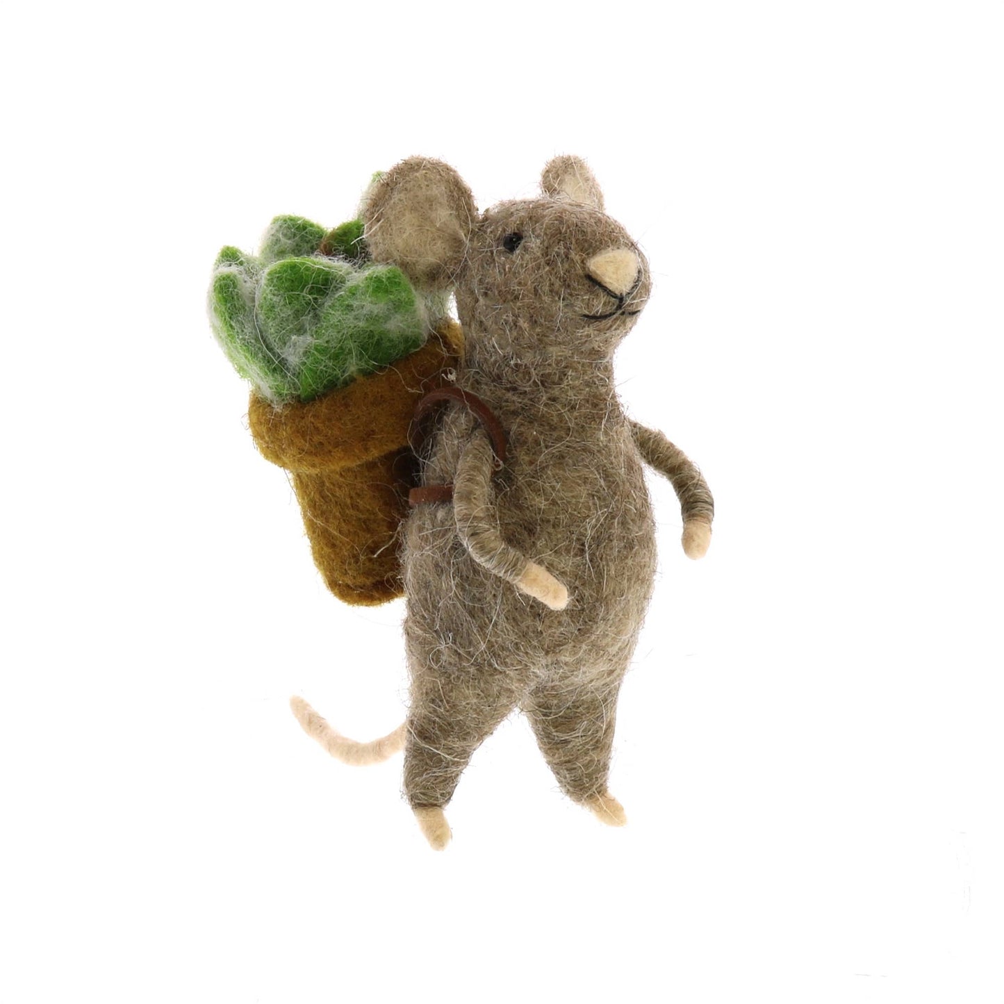 Mice with Succulents, Set of 3