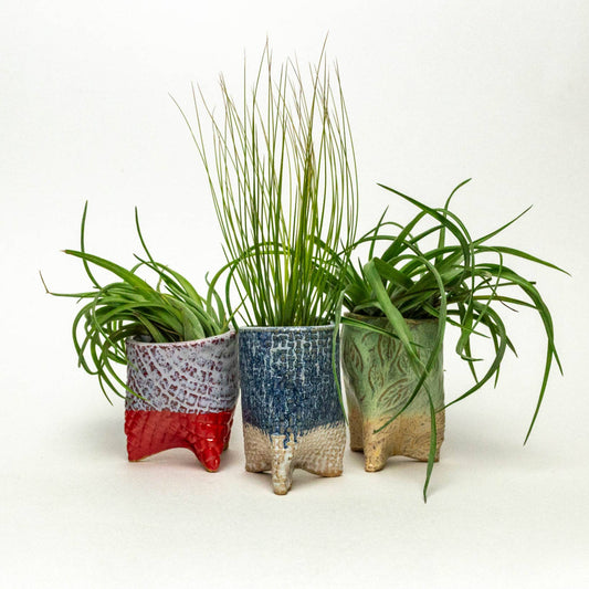 Lg Air Plants Handmade iPot