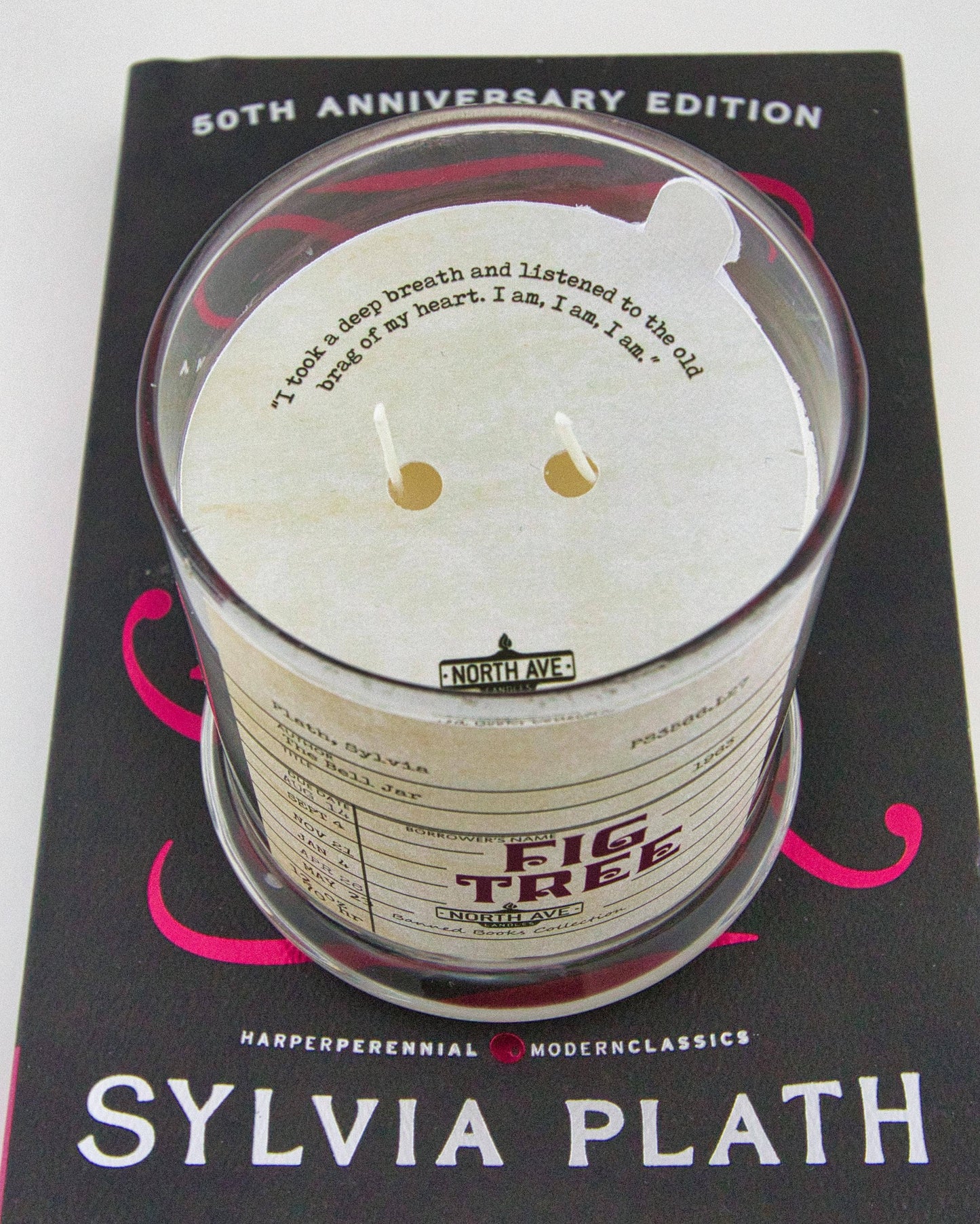 Banned Book Candle / The Bell Jar / Feminist Gift / bookish