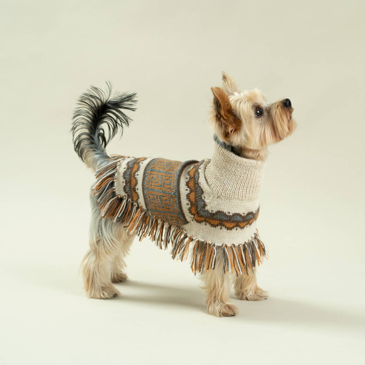 Pisac Alpaca Dog Poncho