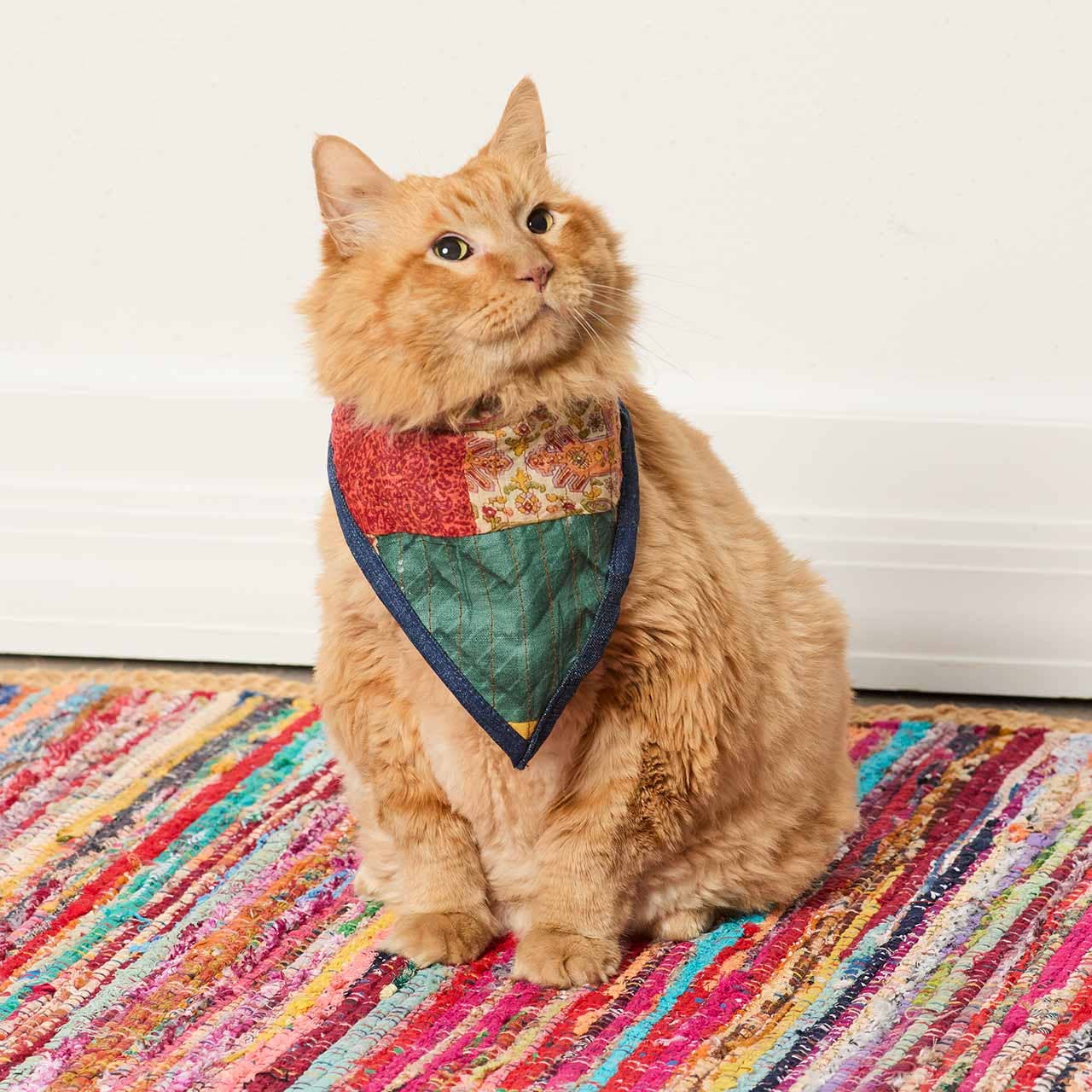 Small Upcycled Sari Pet Bandana