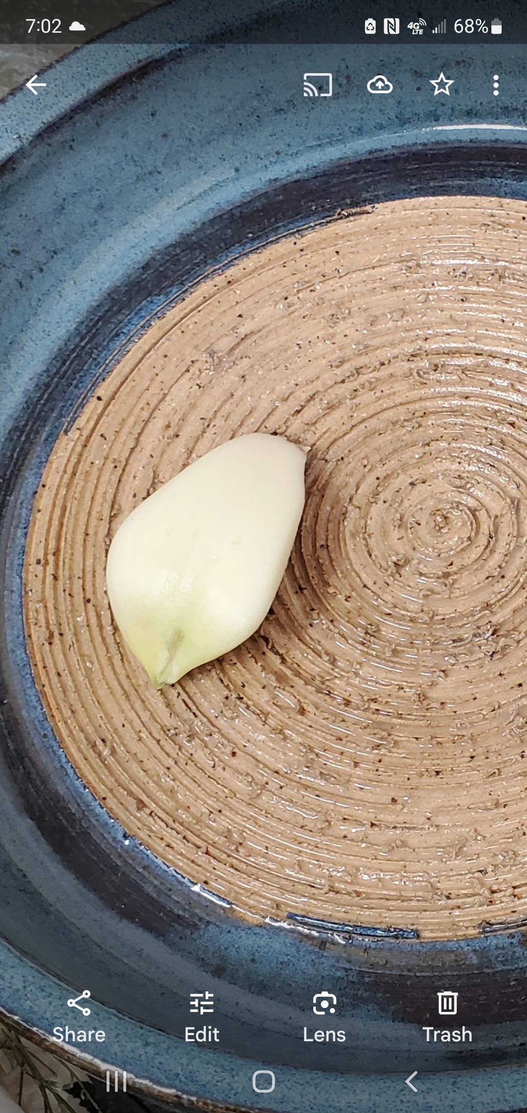 Garlic dip dish