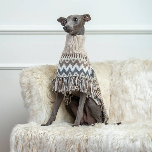 Woolly Winter Alpaca Dog Poncho