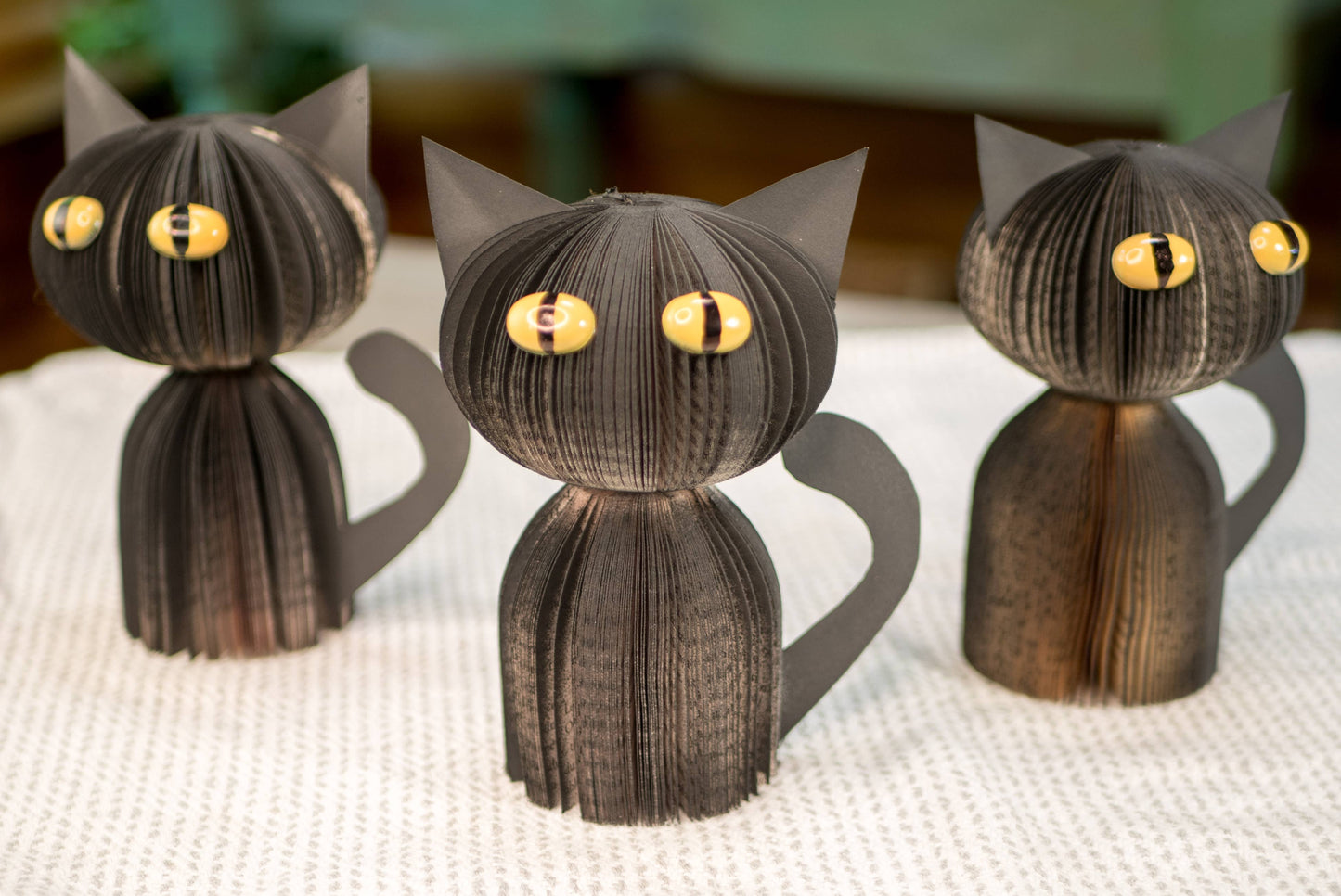 Black Cat-Halloween Decor-Book Gift-Christmas Gift