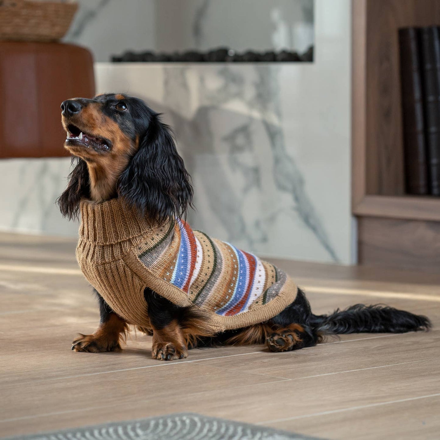 Hello Autumn Alpaca Dog Sweater