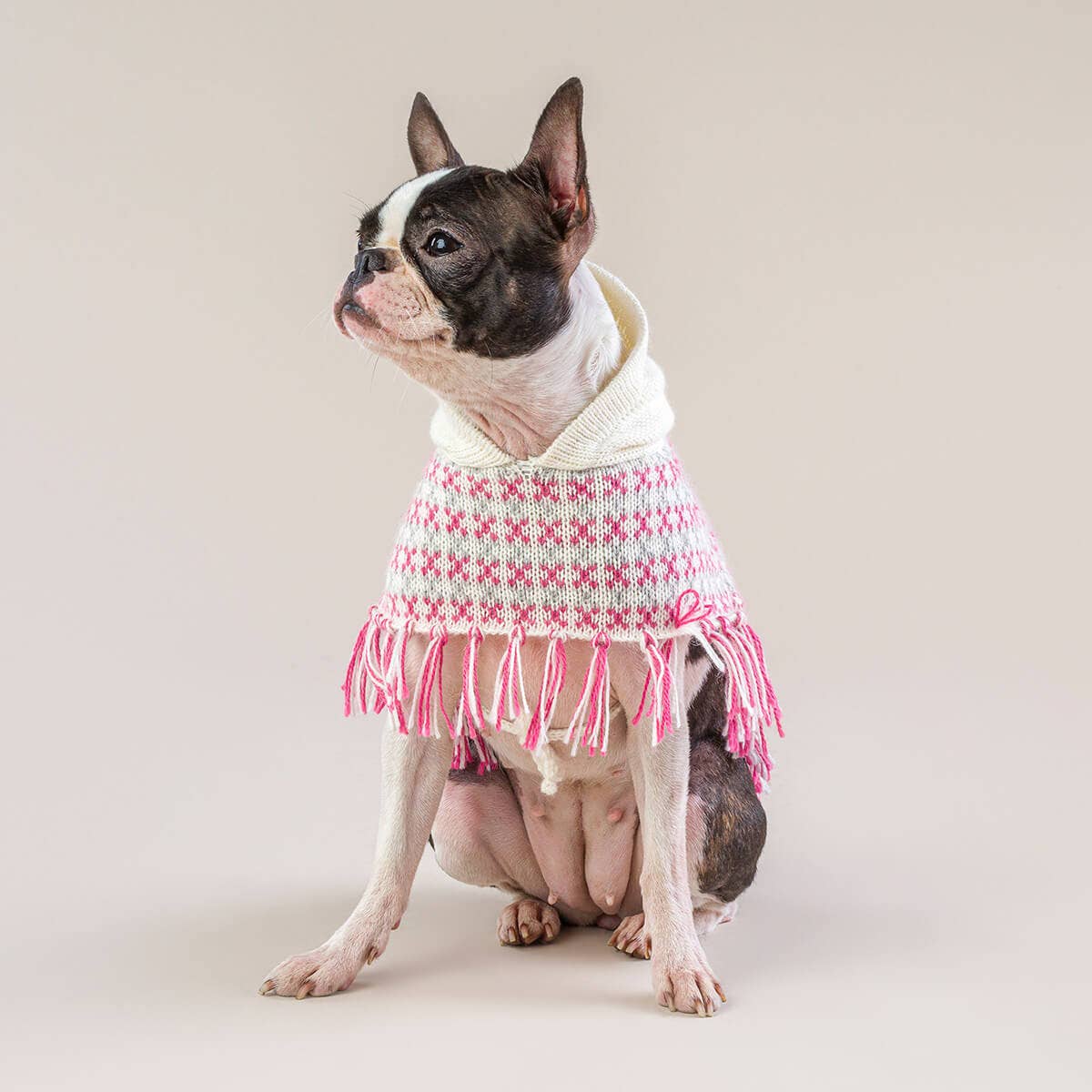 Sofia Pink Alpaca Dog Poncho