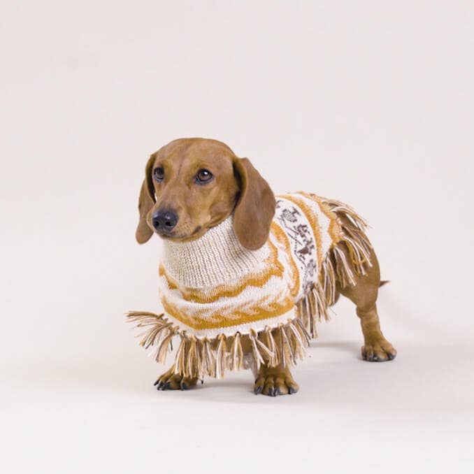 Llama Natural Alpaca Dog Poncho