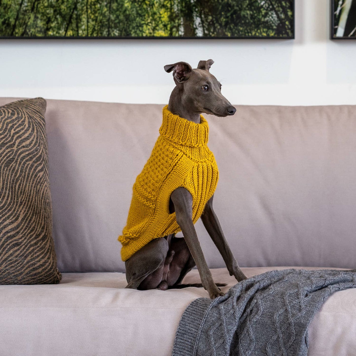 Oscar Mustard Alpaca Dog Sweater