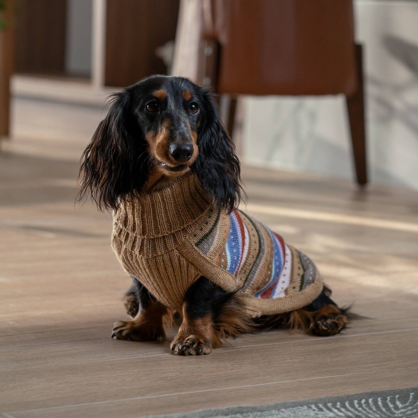 Hello Autumn Alpaca Dog Sweater