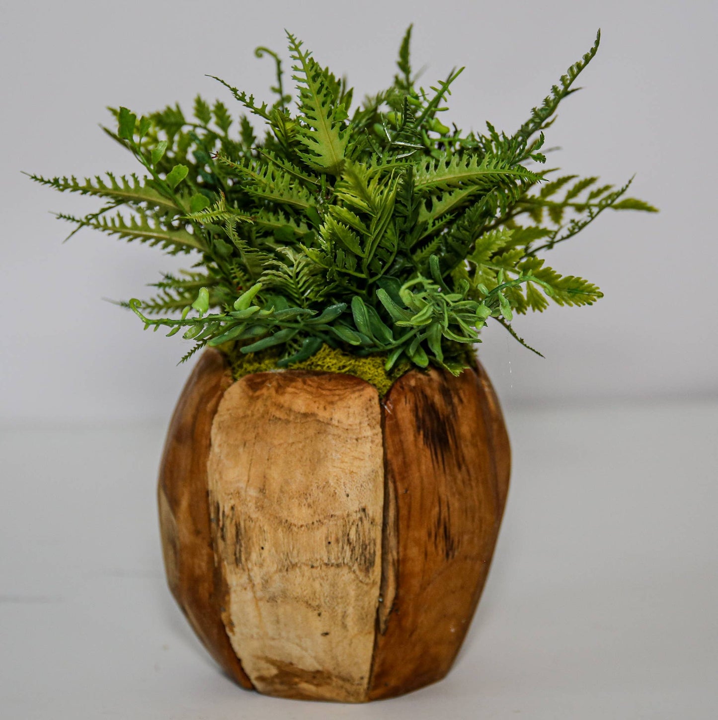 Woodland Fern