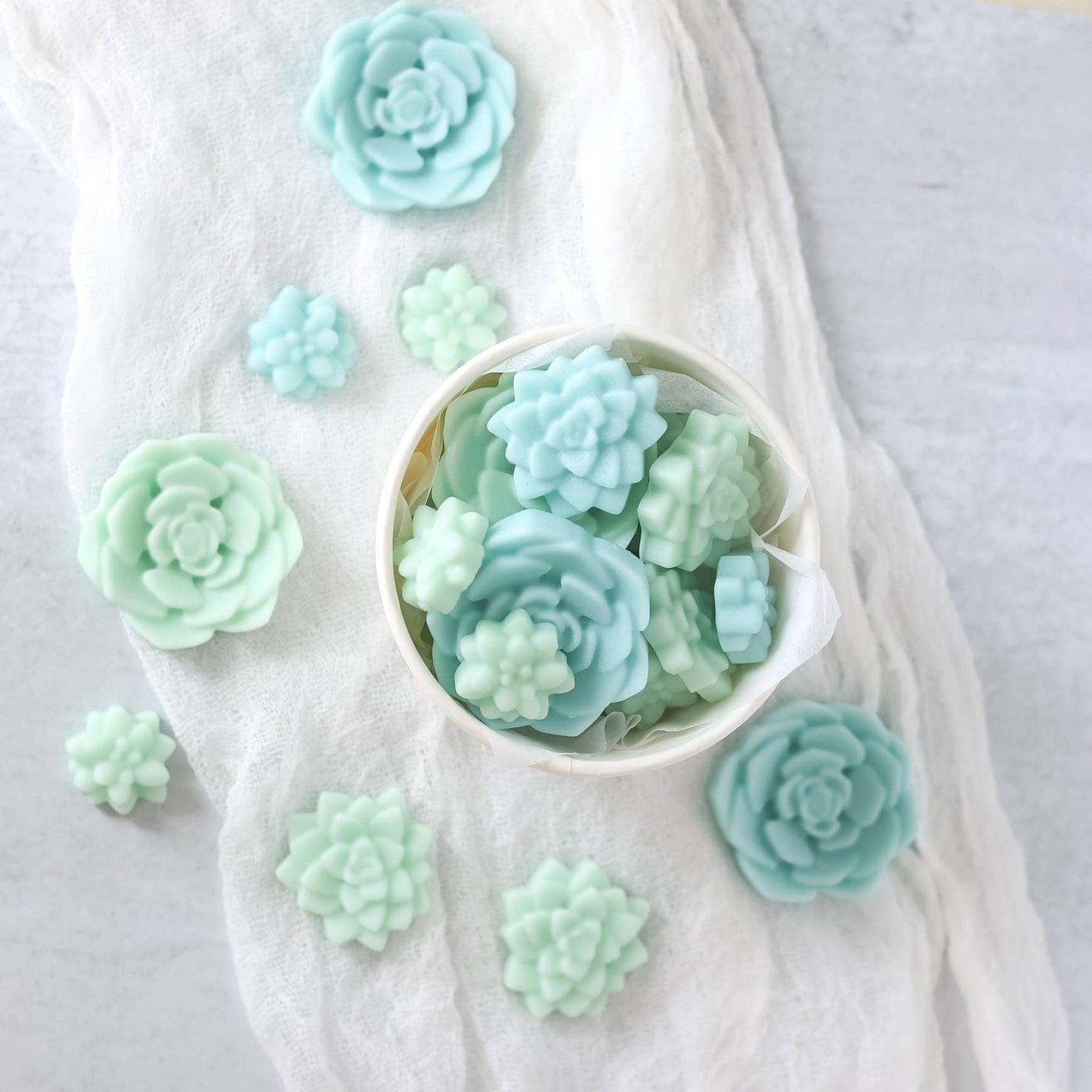 Spring Wax Melts Bloomulent, Green Blue Succulents