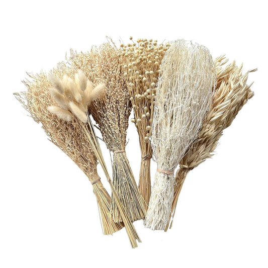 Dried flowers Bleached, 12"