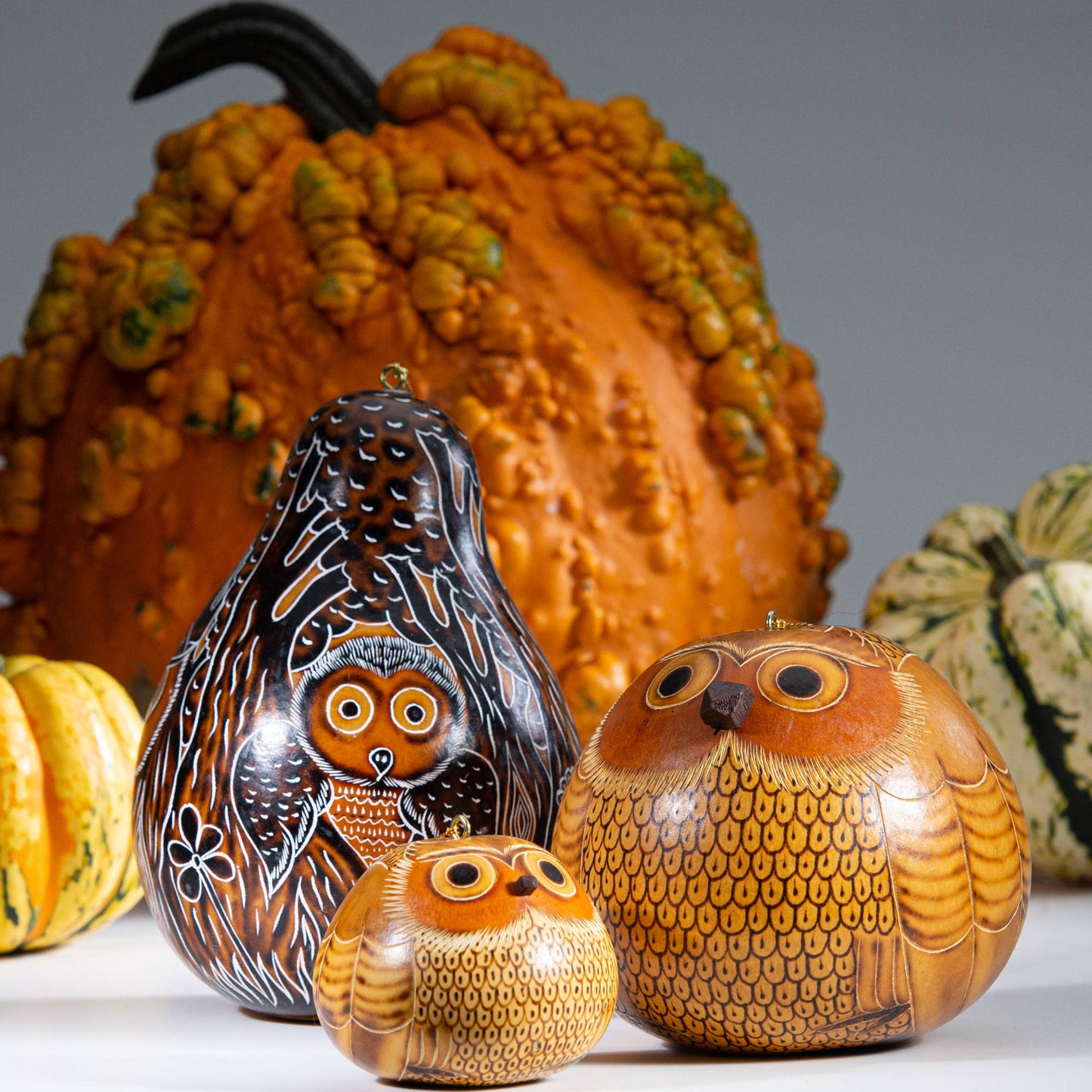 Blond Owl - Gourd Ornament - Natural Holiday