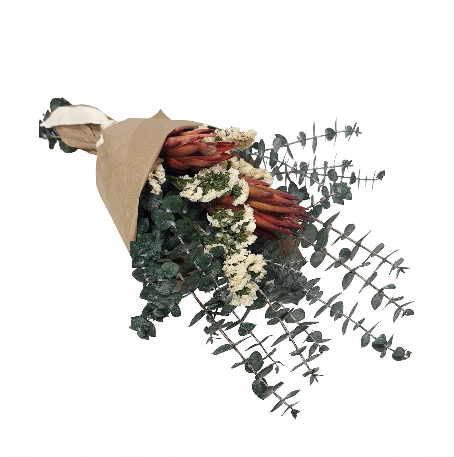 Summer Protea & Baby Eucalyptus Preserved Bouquet