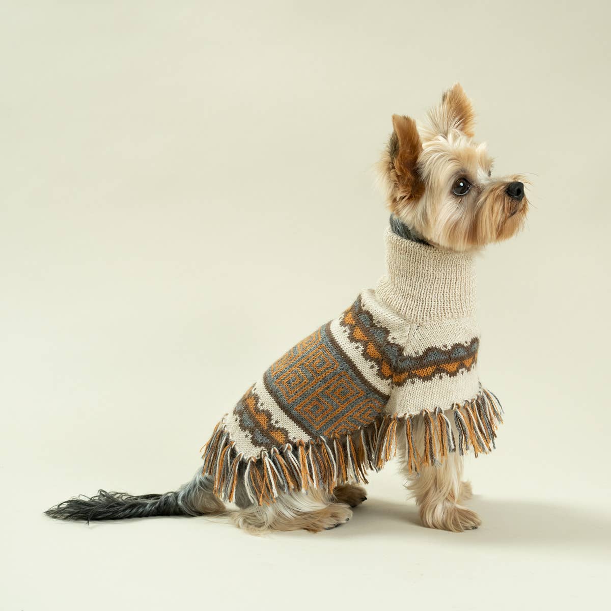 Pisac Alpaca Dog Poncho