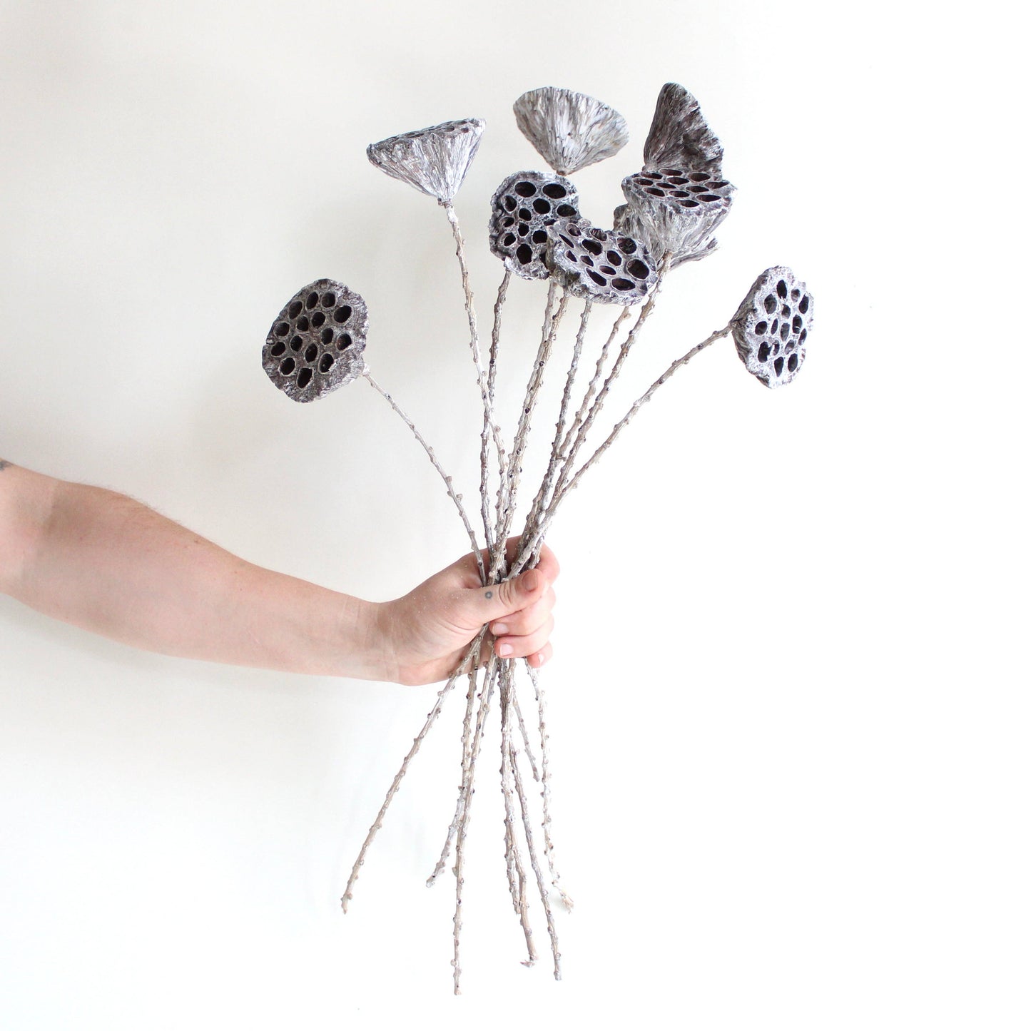 Lotus Pod on Stem - Dyed