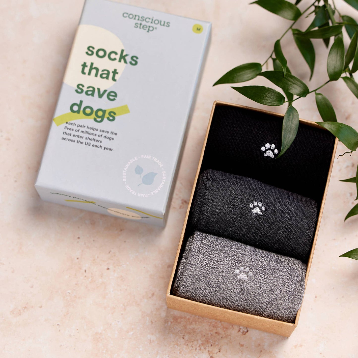 Boxed Set Socks that Save Dogs