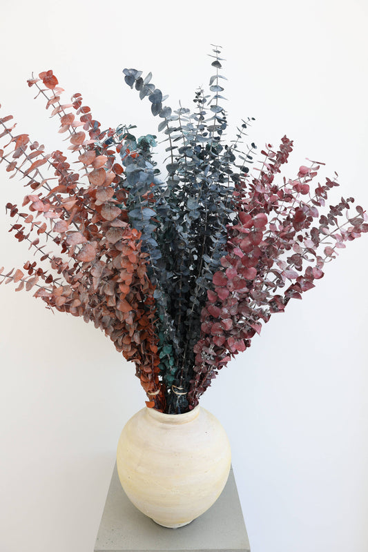 Preserved Eucalyptus