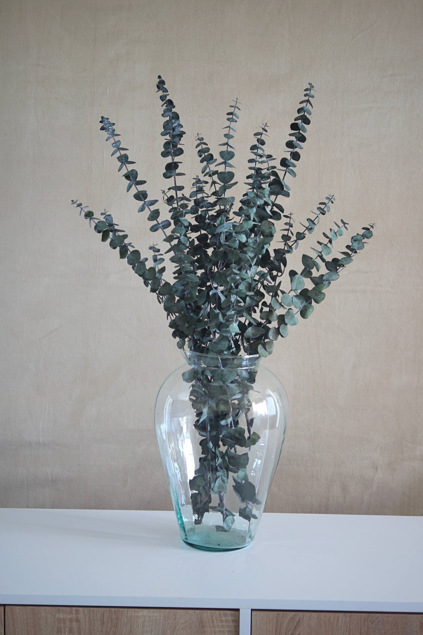 Preserved Eucalyptus