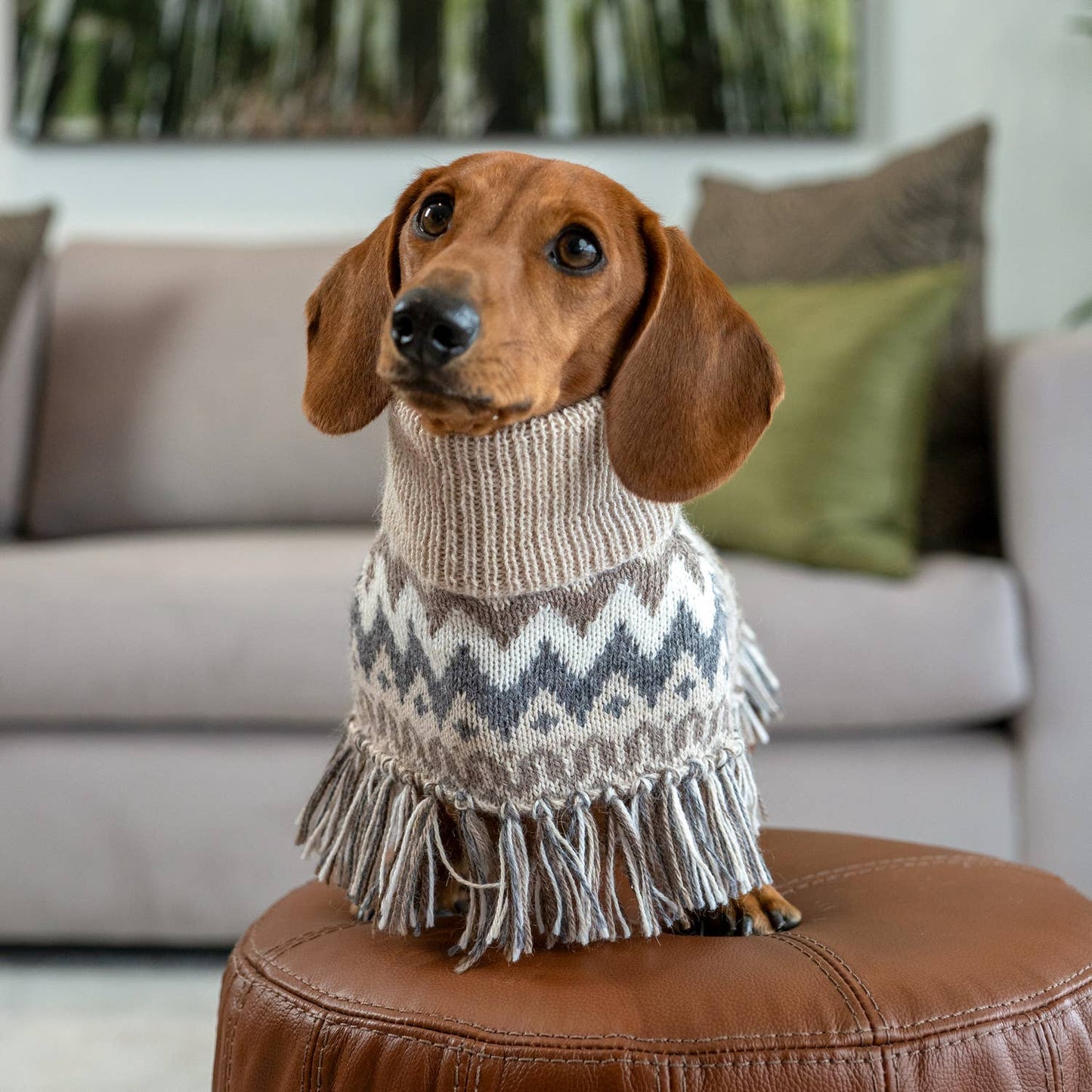 Woolly Winter Alpaca Dog Poncho