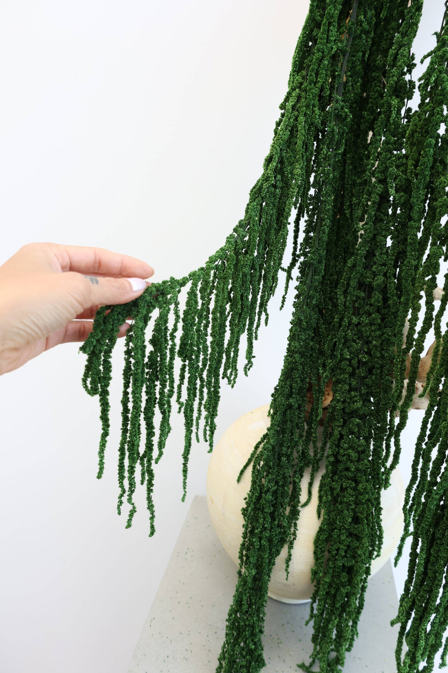 Preserved Amaranthus