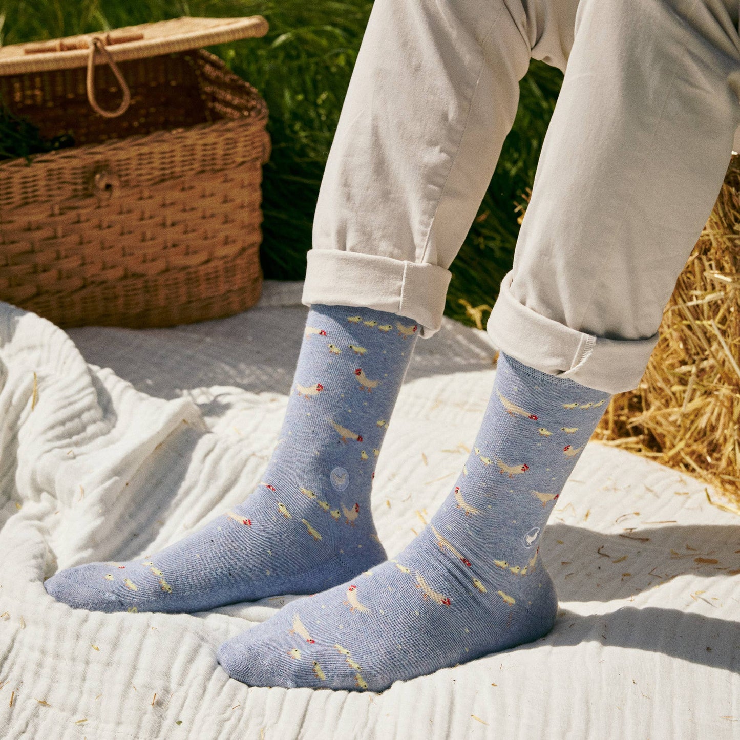 Boxed Set Socks that Save Farm Animals