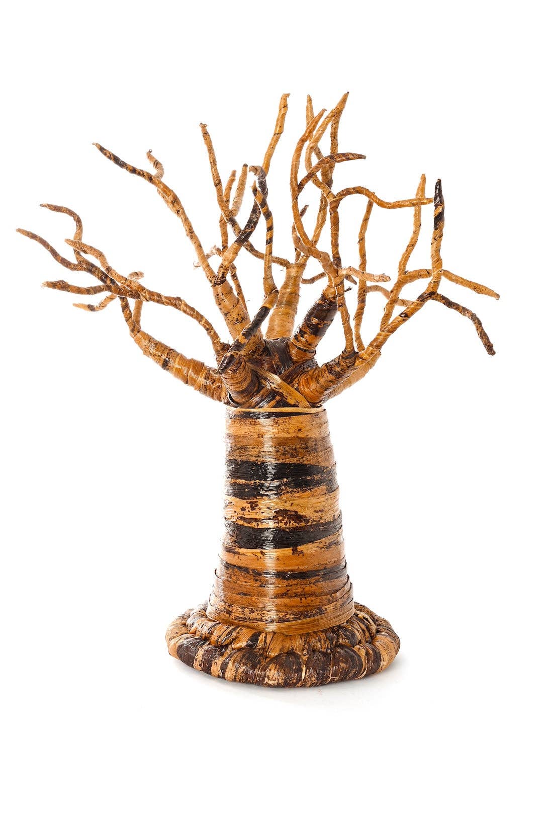 16" Banana Fiber Baobab Tree