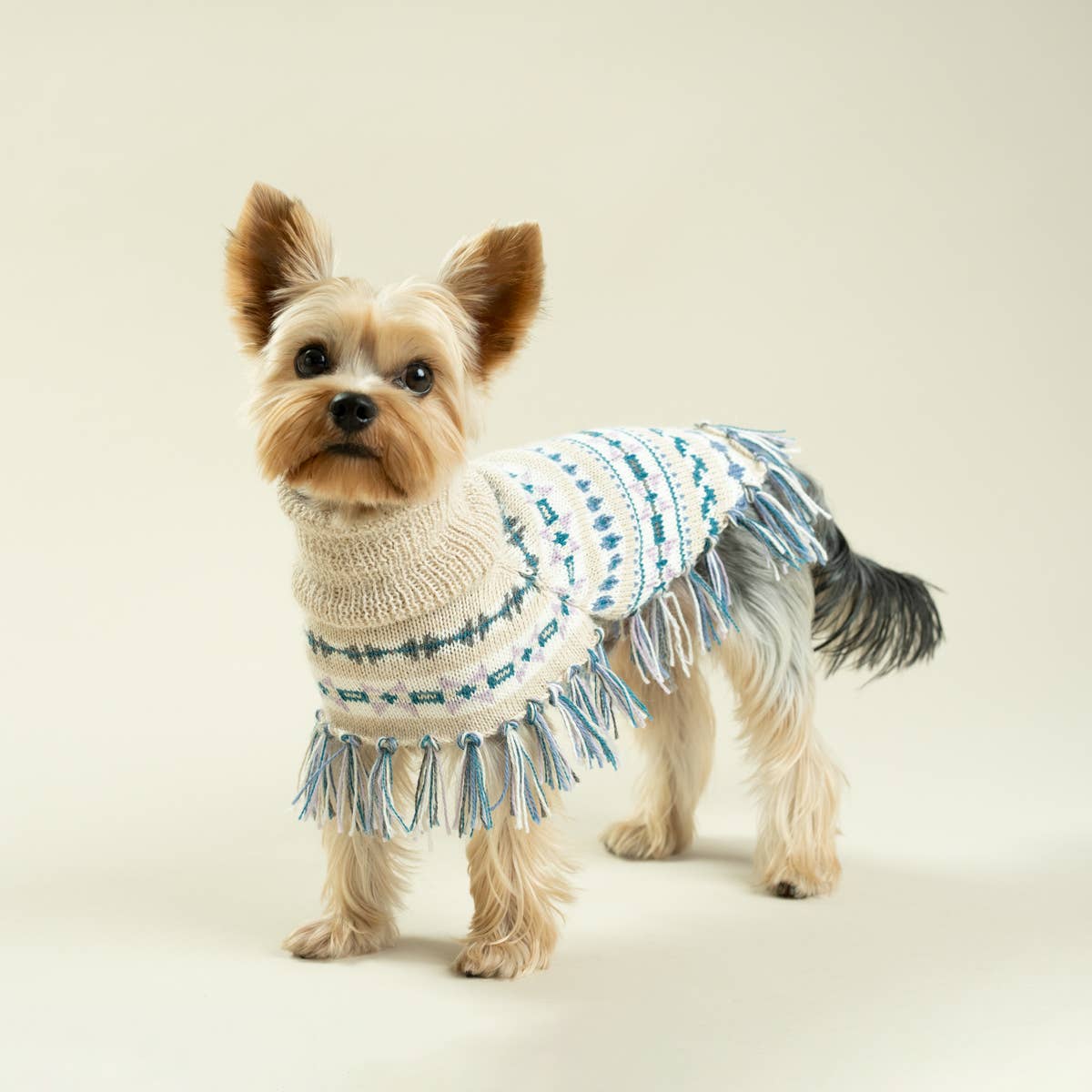 Serendipity Alpaca Dog Poncho