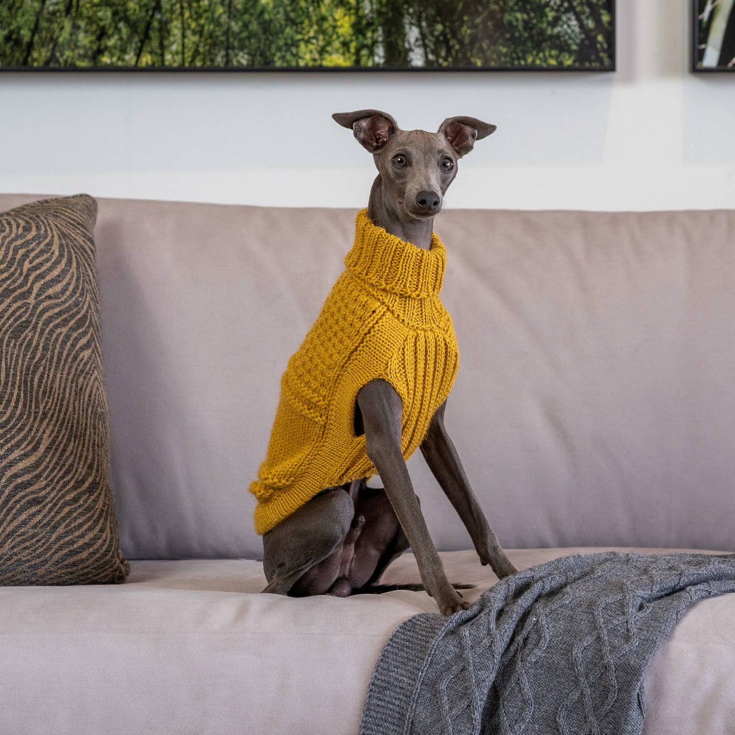 Oscar Mustard Alpaca Dog Sweater