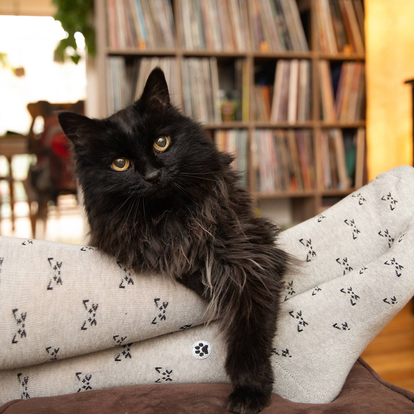 Boxed Set Socks that Save Cats