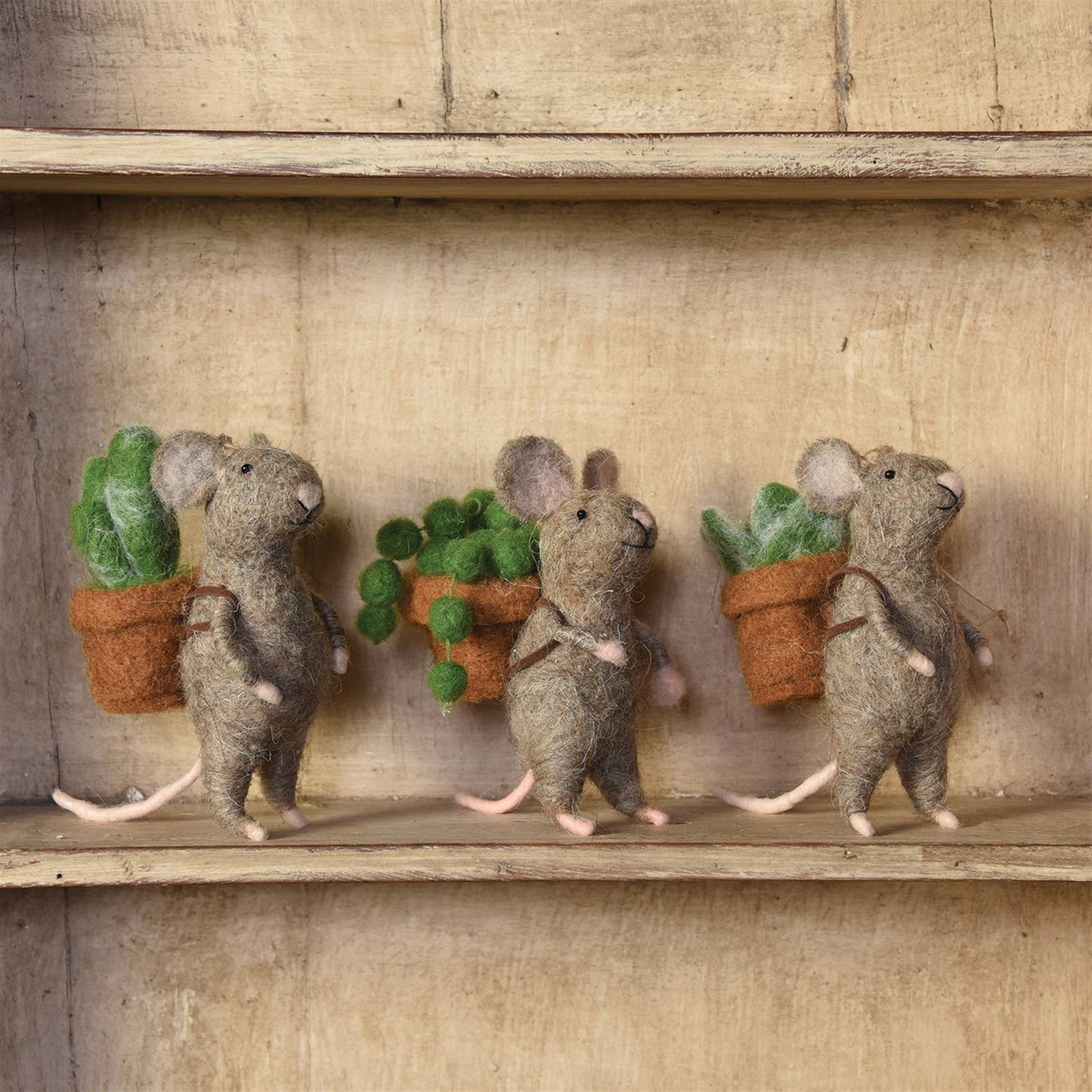 Mice with Succulents, Set of 3